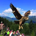 Erzberg Alpin By Alps