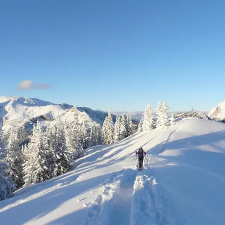 شقة Erzberg Alpin By Alps