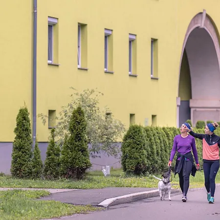 Lejlighed Erzberg Alpin By Alps *