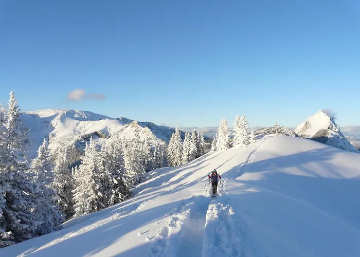 Appartamento Erzberg Alpin By Alps